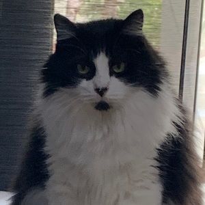 Meet your Posher, Lanny